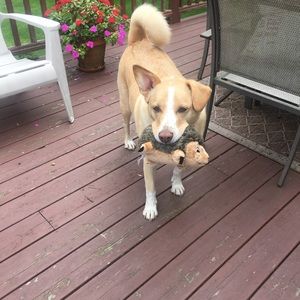 Meet your Posher, Shelly